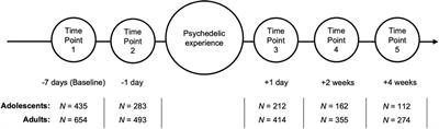 Psychological effects of psychedelics in adolescents